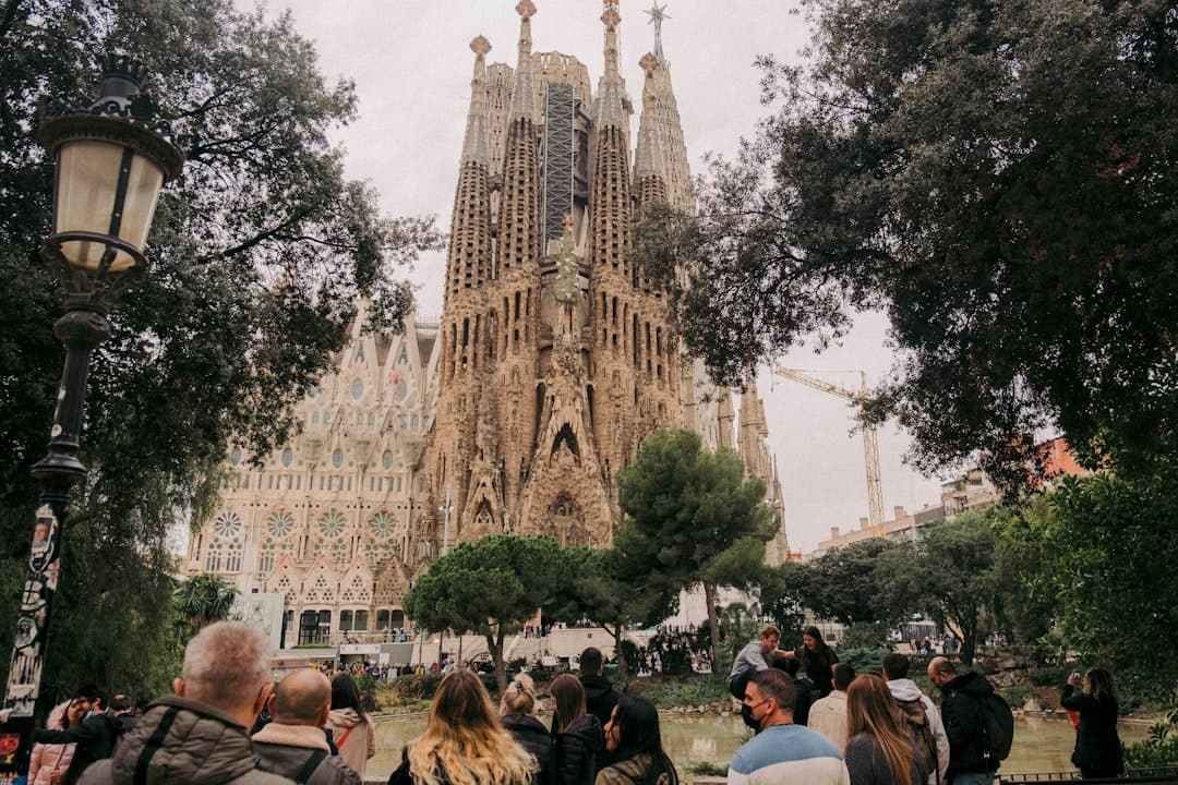 Coloured light flooding the tree-like columns inside the Sagrada Família